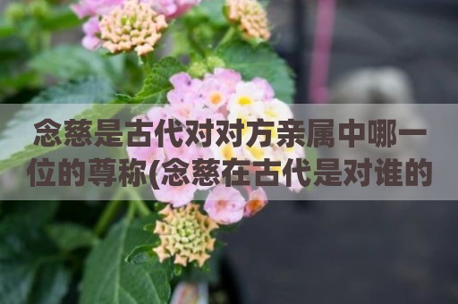 念慈是古代对对方亲属中哪一位的尊称(念慈在古代是对谁的称呼)