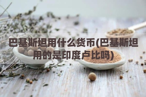 巴基斯坦用什么货币(巴基斯坦用的是印度卢比吗)