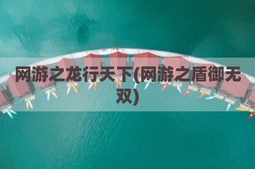 网游之龙行天下(网游之盾御无双)