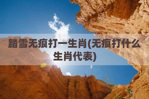 踏雪无痕打一生肖(无痕打什么生肖代表)