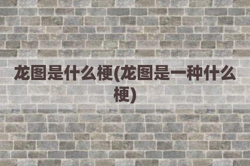 龙图是什么梗(龙图是一种什么梗)