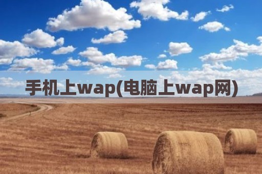 手机上wap(电脑上wap网)