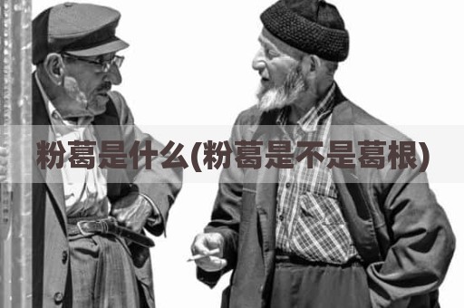 粉葛是什么(粉葛是不是葛根)