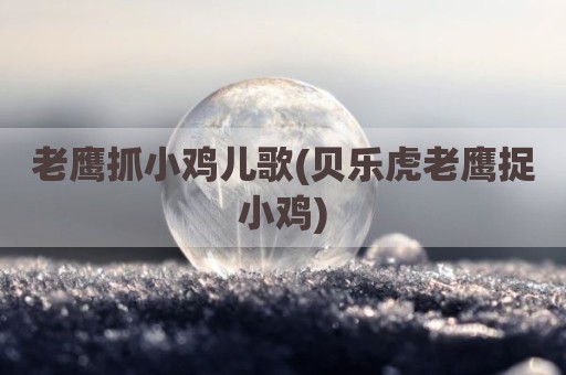 老鹰抓小鸡儿歌(贝乐虎老鹰捉小鸡)