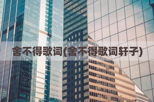 舍不得歌词(舍不得歌词轩子)