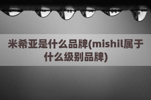 米希亚是什么品牌(mishil属于什么级别品牌)