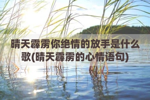 晴天霹雳你绝情的放手是什么歌(晴天霹雳的心情语句)