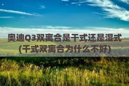 奥迪Q3双离合是干式还是湿式(干式双离合为什么不好)