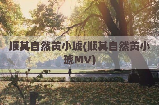 顺其自然黄小琥(顺其自然黄小琥MV)