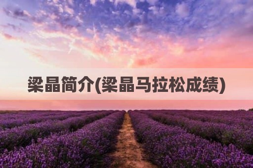 梁晶简介(梁晶马拉松成绩)