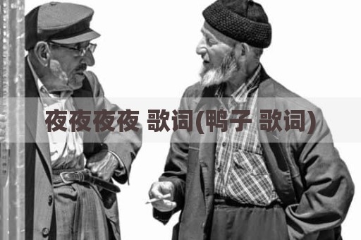 夜夜夜夜 歌词(鸭子 歌词)