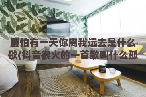 最怕有一天你离我远去是什么歌(抖音很火的一首歌叫什么孤独)