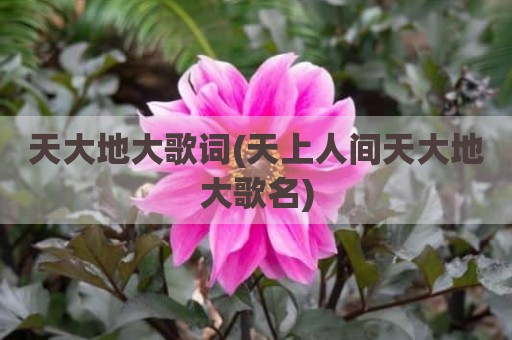 天大地大歌词(天上人间天大地大歌名)