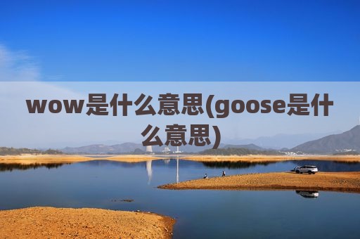 wow是什么意思(goose是什么意思)