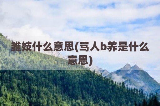 雏妓什么意思(骂人b养是什么意思)