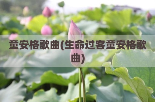 童安格歌曲(生命过客童安格歌曲)
