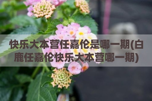 快乐大本营任嘉伦是哪一期(白鹿任嘉伦快乐大本营哪一期)