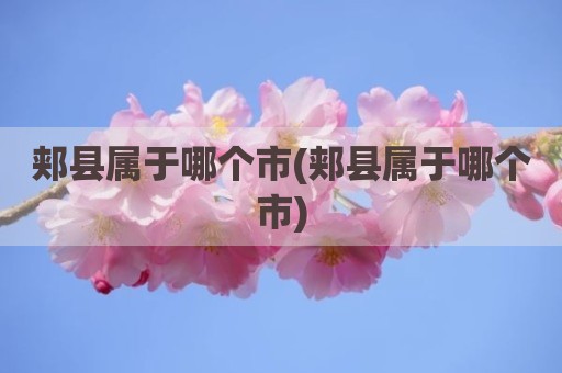 郏县属于哪个市(郏县属于哪个市)