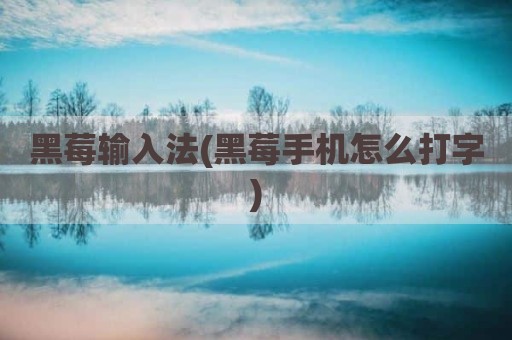黑莓输入法(黑莓手机怎么打字)