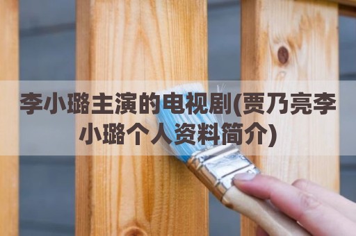 李小璐主演的电视剧(贾乃亮李小璐个人资料简介)