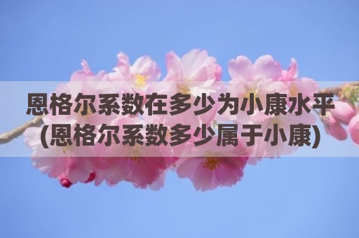 恩格尔系数在多少为小康水平(恩格尔系数多少属于小康)