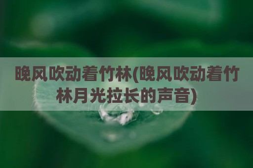 晚风吹动着竹林(晚风吹动着竹林月光拉长的声音)