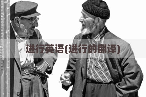 进行英语(进行的翻译)
