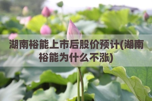 湖南裕能上市后股价预计(湖南裕能为什么不涨)