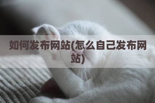 如何发布网站(怎么自己发布网站)