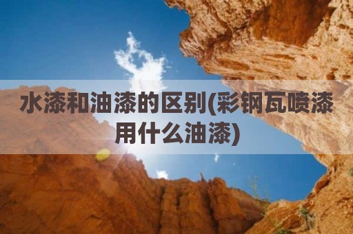 水漆和油漆的区别(彩钢瓦喷漆用什么油漆)