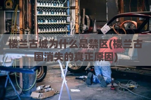 楼兰古城为什么是禁区(楼兰古国消失的真正原因)