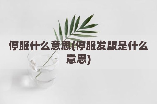 停服什么意思(停服发版是什么意思)