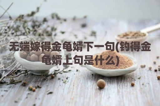 无端嫁得金龟婿下一句(钓得金龟婿上句是什么)