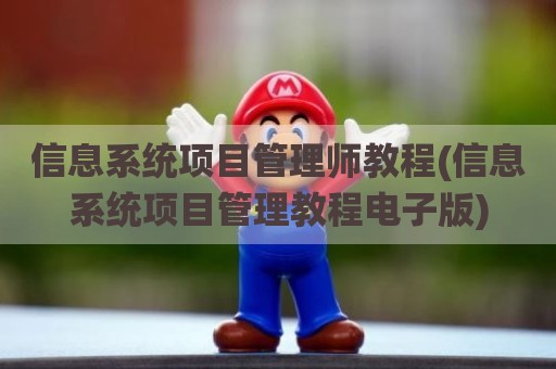 信息系统项目管理师教程(信息系统项目管理教程电子版)