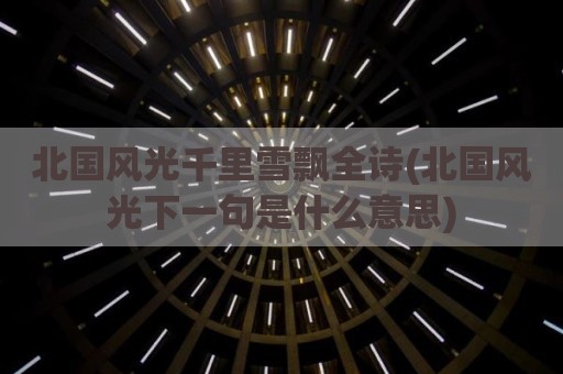 北国风光千里雪飘全诗(北国风光下一句是什么意思)