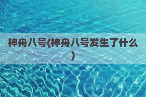 神舟八号(神舟八号发生了什么)
