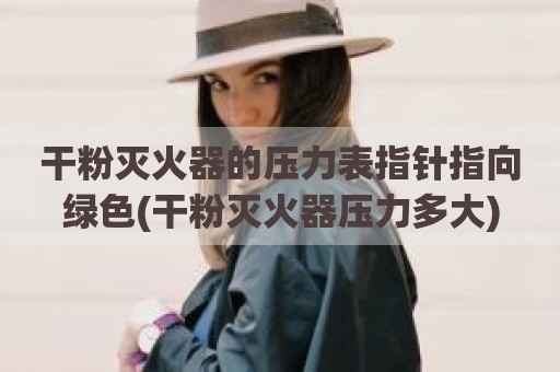 干粉灭火器的压力表指针指向绿色(干粉灭火器压力多大)