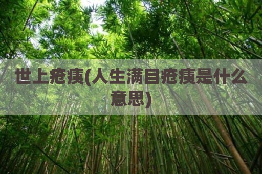 世上疮痍(人生满目疮痍是什么意思)