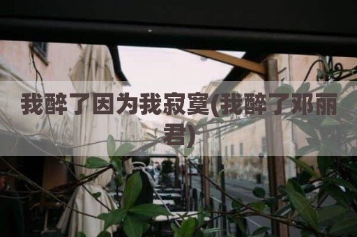 我醉了因为我寂寞(我醉了邓丽君)