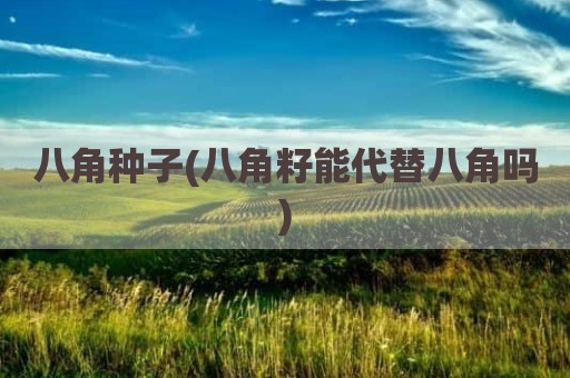 八角种子(八角籽能代替八角吗)