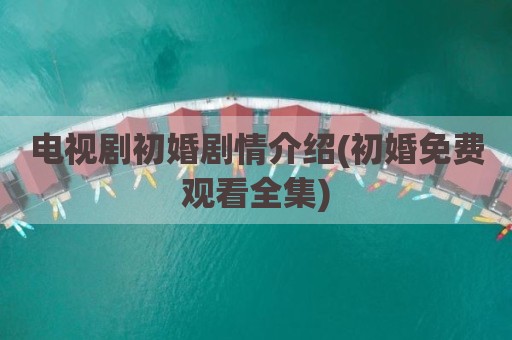 电视剧初婚剧情介绍(初婚免费观看全集)