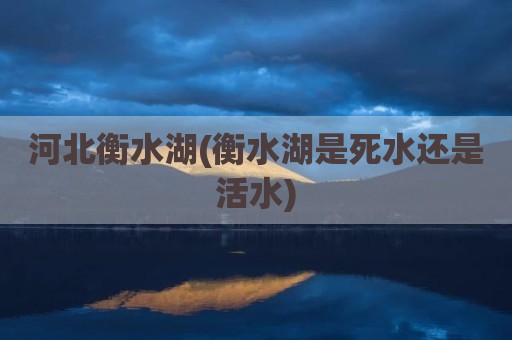 河北衡水湖(衡水湖是死水还是活水)