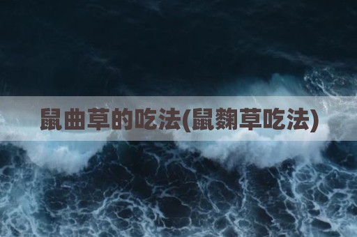 鼠曲草的吃法(鼠麴草吃法)