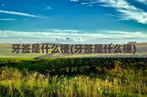 牙签是什么梗(牙签是什么梗)