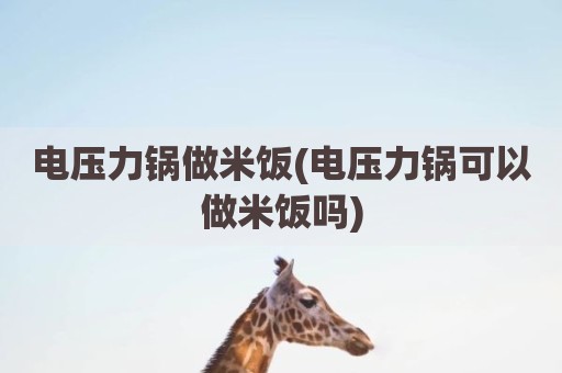 电压力锅做米饭(电压力锅可以做米饭吗)