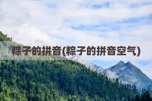 粽子的拼音(粽子的拼音空气)