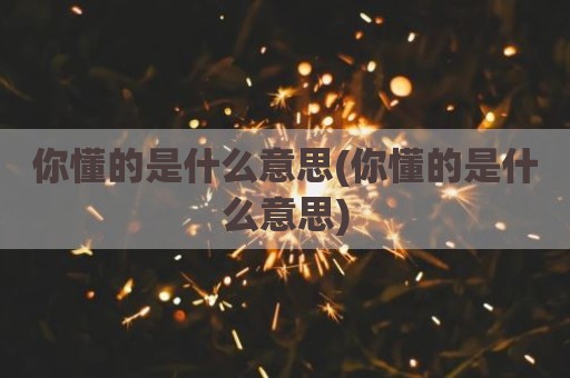 你懂的是什么意思(你懂的是什么意思)