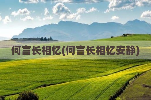 何言长相忆(何言长相忆安静)