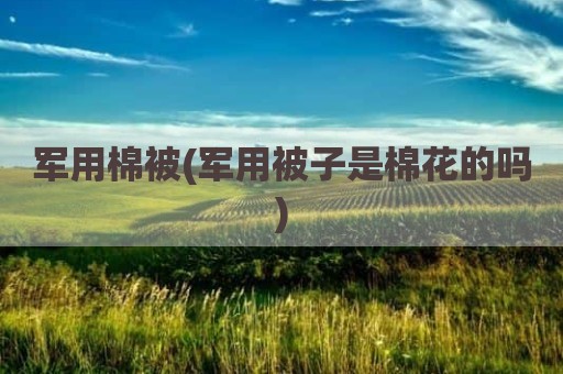 军用棉被(军用被子是棉花的吗)