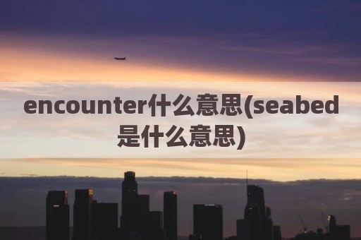encounter什么意思(seabed是什么意思)